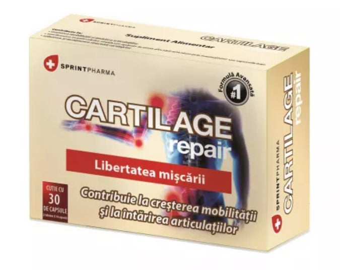 Cartilage Repair – 30 Capsules – Comprehensive Joint Support with Glucosamine, Chondroitin, MSM & Turmeric