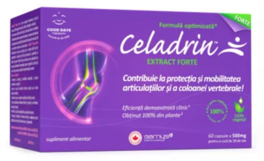 Celadrin Extract Forte 500 mg – Advanced Joint & Spine Support with Plant-Based Cetylated Fatty Acids
